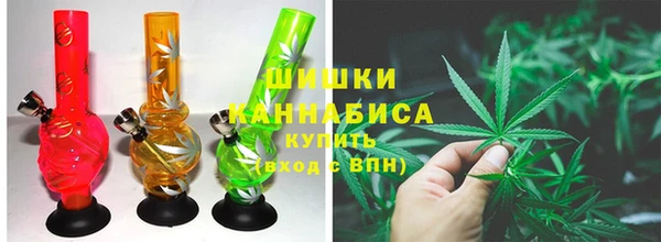 PSILOCYBIN Зеленодольск