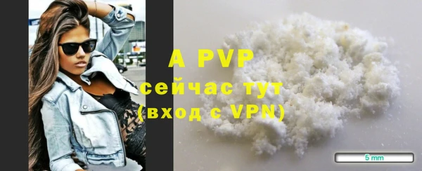 PSILOCYBIN Зеленодольск