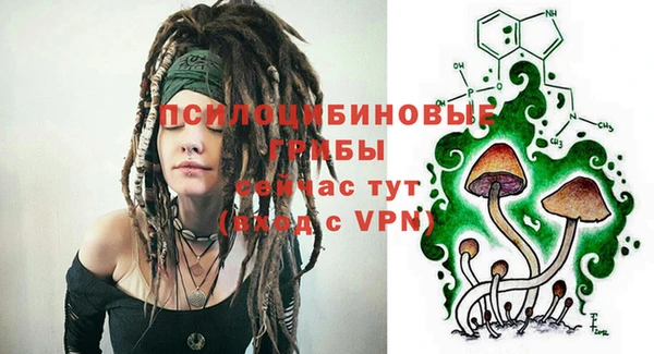 PSILOCYBIN Зеленодольск