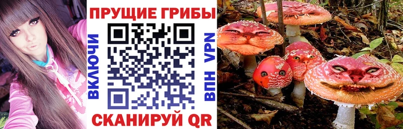 Псилоцибиновые грибы MAGIC MUSHROOMS  Купить где  Бирюсинск 